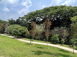 Lornie Road (D11), Detached #459848151